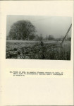 EP - Ewidencja parkowa, skan nr 33
