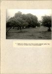 Ewidencja parkowa, skan nr 48