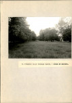 Ewidencja parkowa, skan nr 50