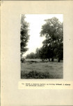 Ewidencja parkowa, skan nr 51