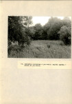 Ewidencja parkowa, skan nr 53