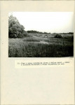 Ewidencja parkowa, skan nr 56