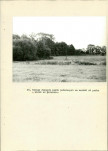 Ewidencja parkowa, skan nr 59