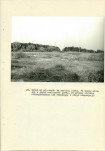 Ewidencja parkowa, skan nr 60