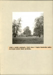 EP - Ewidencja parkowa, skan nr 16