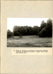 Ewidencja parkowa, skan nr 41