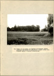 Ewidencja parkowa, skan nr 43