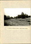 Ewidencja parkowa, skan nr 44