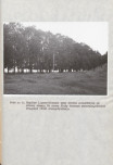 EP - Ewidencja parkowa, skan nr 40