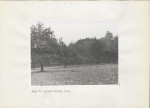Ewidencja parkowa, skan nr 39