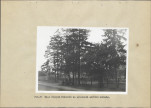 Ewidencja parkowa, skan nr 60