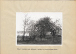EP - Ewidencja parkowa, skan nr 34