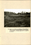 EP - Ewidencja parkowa, skan nr 86