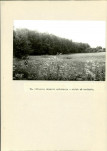 Ewidencja parkowa, skan nr 47