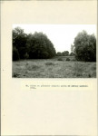 Ewidencja parkowa, skan nr 48