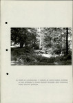 Ewidencja parkowa, skan nr 28