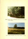 EP - Ewidencja parkowa, skan nr 28