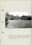 Ewidencja parkowa, skan nr 37