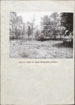 EP - Ewidencja parkowa, skan nr 20