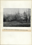 EP - Ewidencja parkowa, skan nr 50
