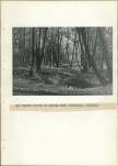 EP - Ewidencja parkowa, skan nr 51