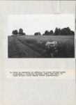 EP - Ewidencja parkowa, skan nr 30