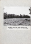 EP - Ewidencja parkowa, skan nr 32