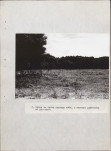 EP - Ewidencja parkowa, skan nr 31