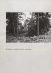 EP - Ewidencja parkowa, skan nr 32