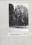EP - Ewidencja parkowa, skan nr 33