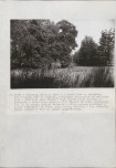 EP - Ewidencja parkowa, skan nr 37