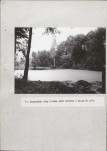 Ewidencja parkowa, skan nr 36
