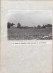 EP - Ewidencja parkowa, skan nr 34