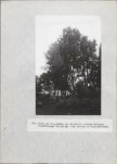 Ewidencja parkowa, skan nr 36