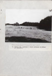 EP - Ewidencja parkowa, skan nr 38