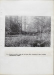 Ewidencja parkowa, skan nr 41