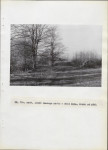 Ewidencja parkowa, skan nr 42