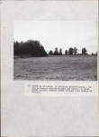EP - Ewidencja parkowa, skan nr 41