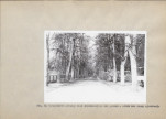Ewidencja parkowa, skan nr 43