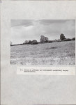 EP - Ewidencja parkowa, skan nr 49