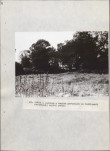 EP - Ewidencja parkowa, skan nr 52