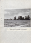 EP - Ewidencja parkowa, skan nr 53