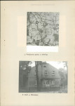 EP - Ewidencja parkowa, skan nr 9