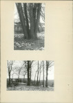 EP - Ewidencja parkowa, skan nr 14