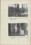 EP - Ewidencja parkowa, skan nr 10
