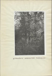 EP - Ewidencja parkowa, skan nr 16