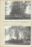 EP - Ewidencja parkowa, skan nr 14