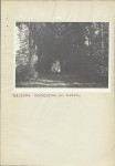 EP - Ewidencja parkowa, skan nr 15