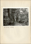 EP - Ewidencja parkowa, skan nr 19