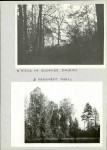 EP - Ewidencja parkowa, skan nr 16